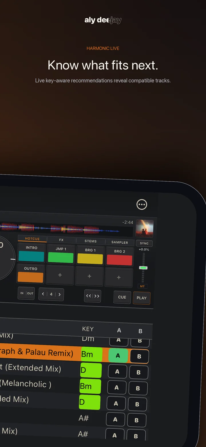 AlyDeejay Harmonic Live recommendations on iPhone