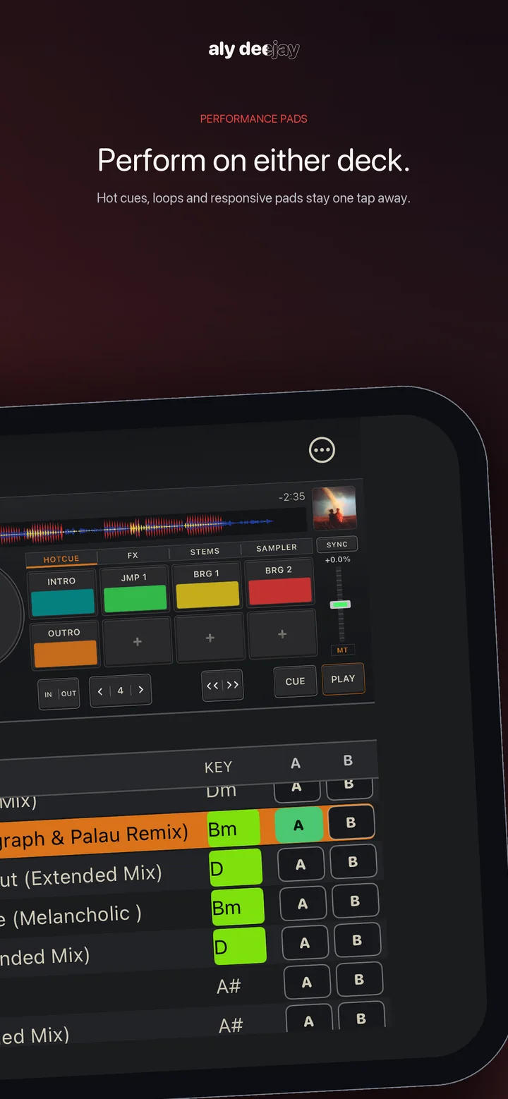 AlyDeejay performance pads on iPhone
