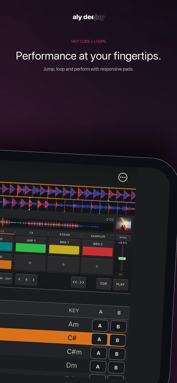 AlyDeejay hot cues and loops on iPhone
